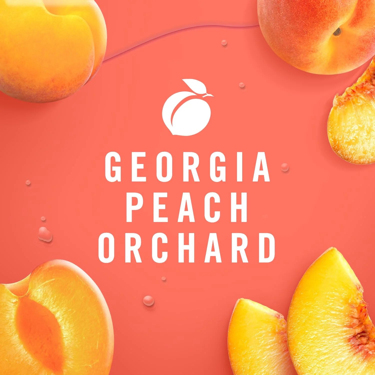 Febreze Plug Dual Refill Air Freshener Georgia Peach Orchard 2ct - View 2