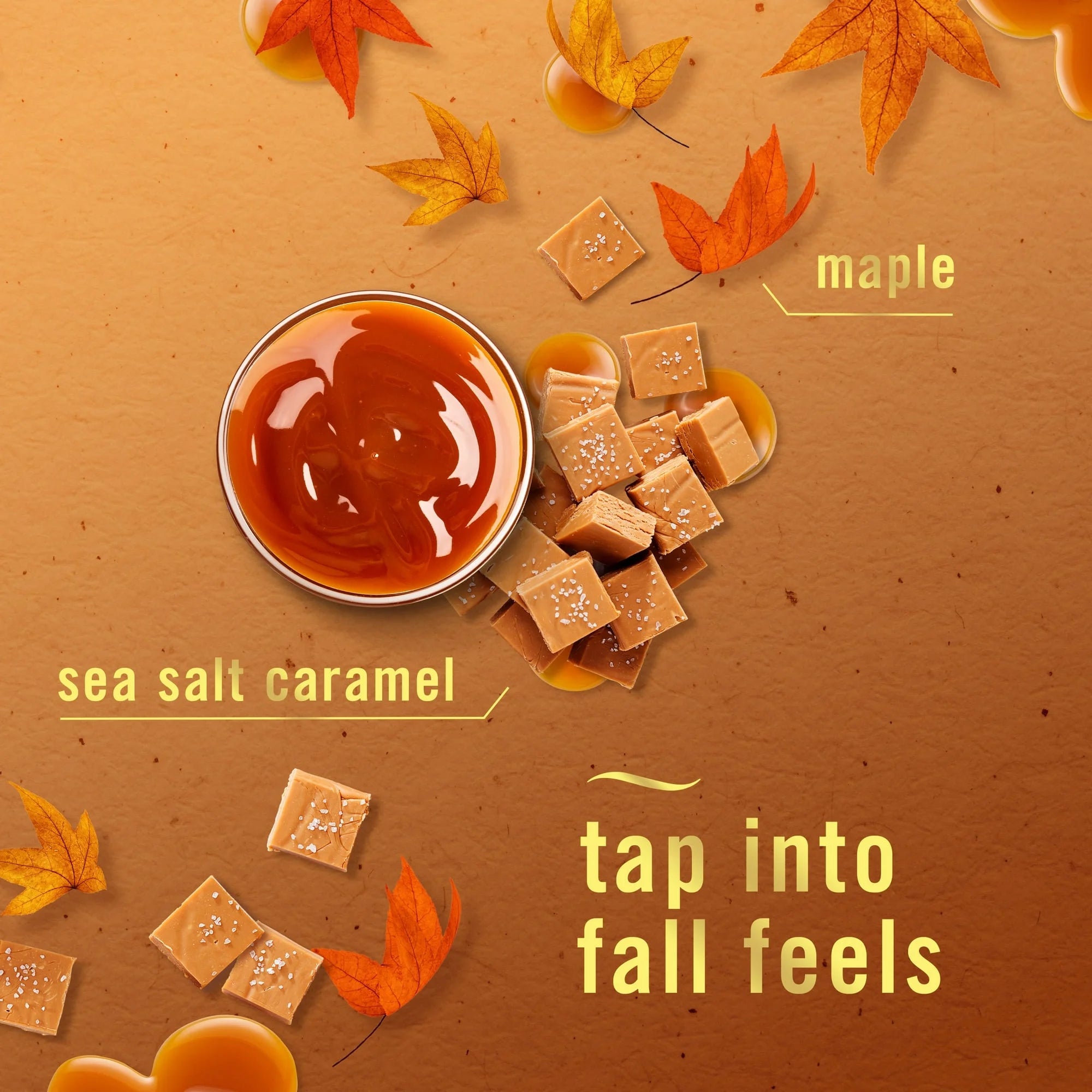 Febreze Plug Refill Odor-Fighting Air Freshener Sea Salt Caramel & Maple Scent, - View 4