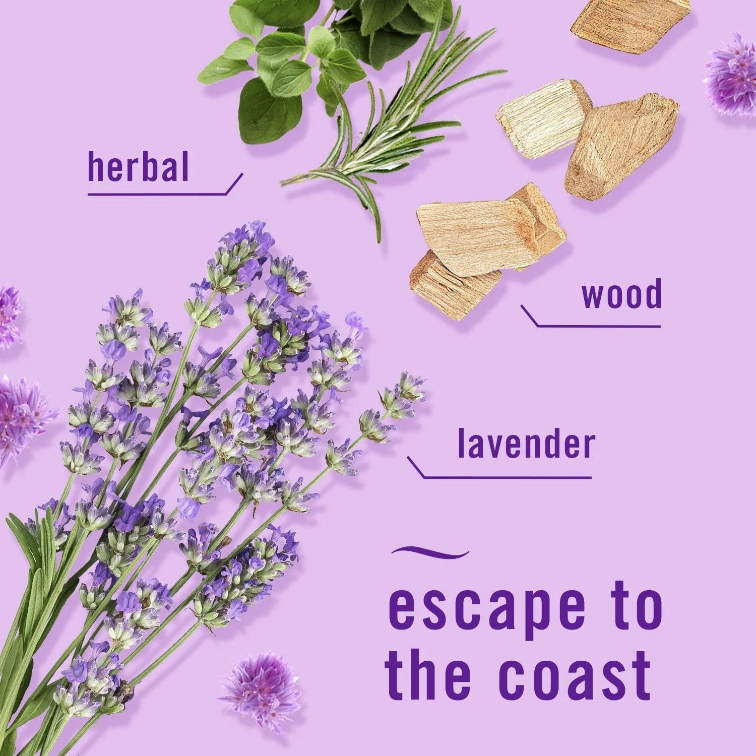 Febreze Plug Air Freshener Refills, Mediterranean Lavender & Linen & Sky, 4.35 - View 5