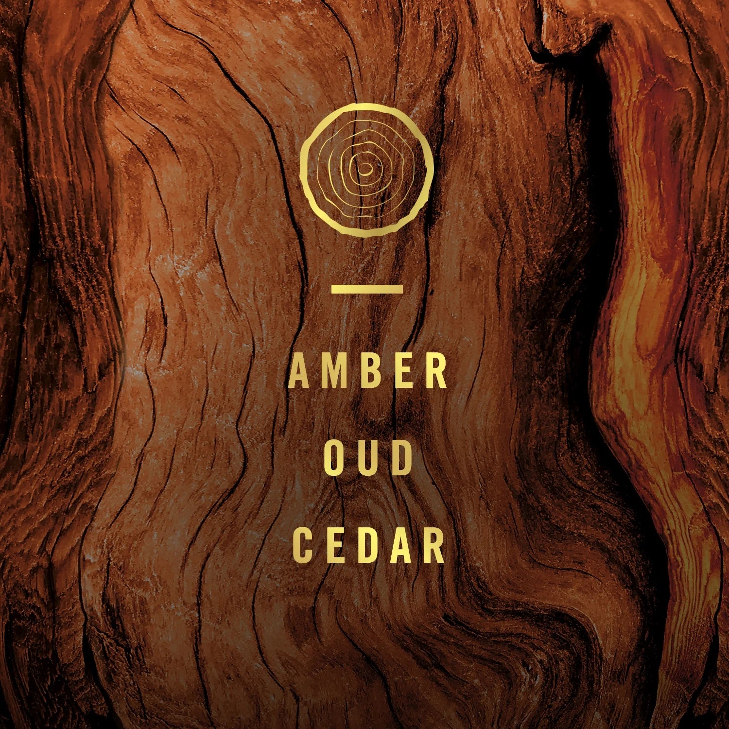 Febreze Origins Fade Defy PLUG Air Freshener & Odor Fighter, Wood, (1) .87 oz - View 5