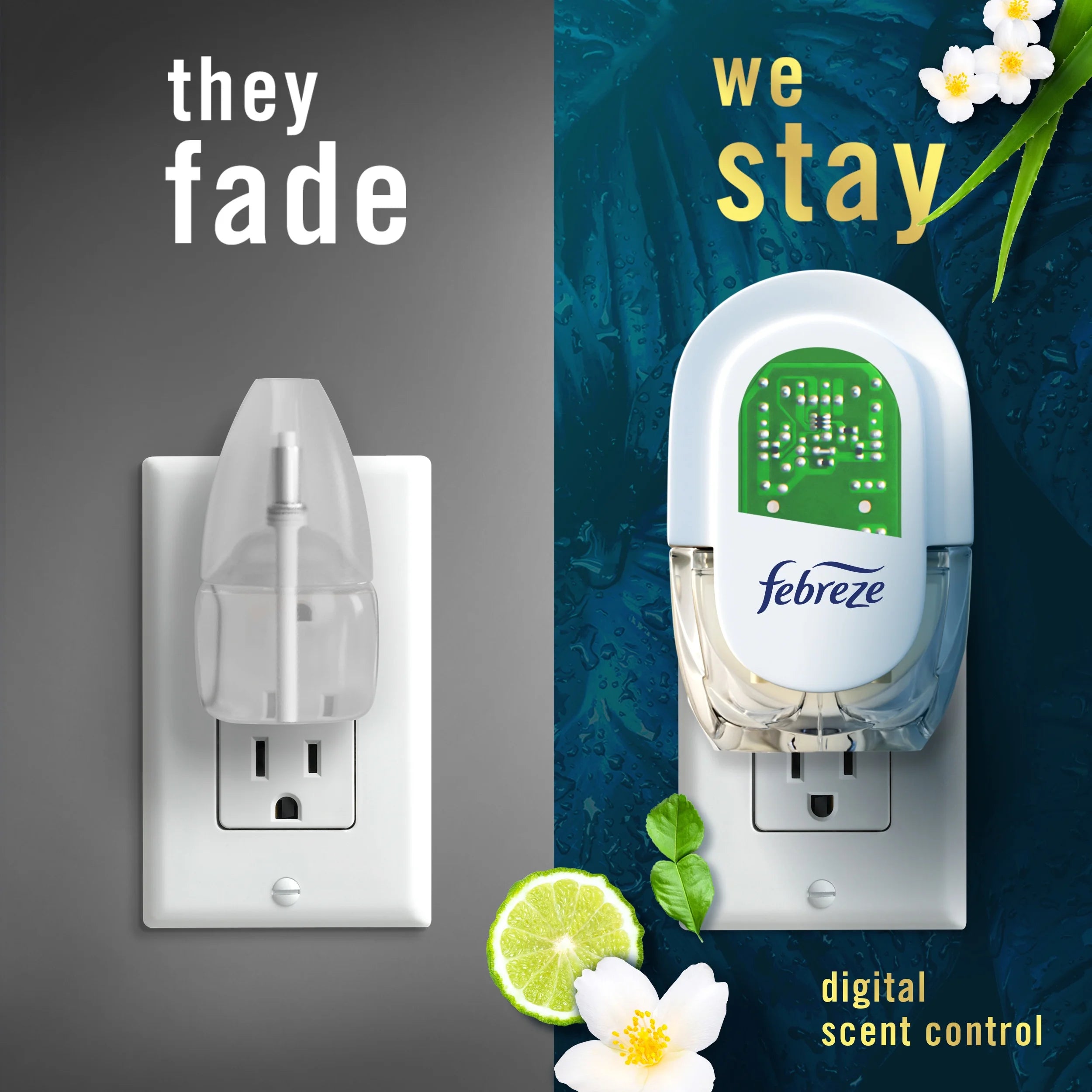 Febreze Plug In Air Freshener, Odor-Fighting Scented Oil Refill, Rainforest, 2 - View 5