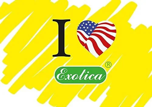 Exotica Car Air Freshener | Spill-proof Can | Organic | For Home & Auto | Long - View 5