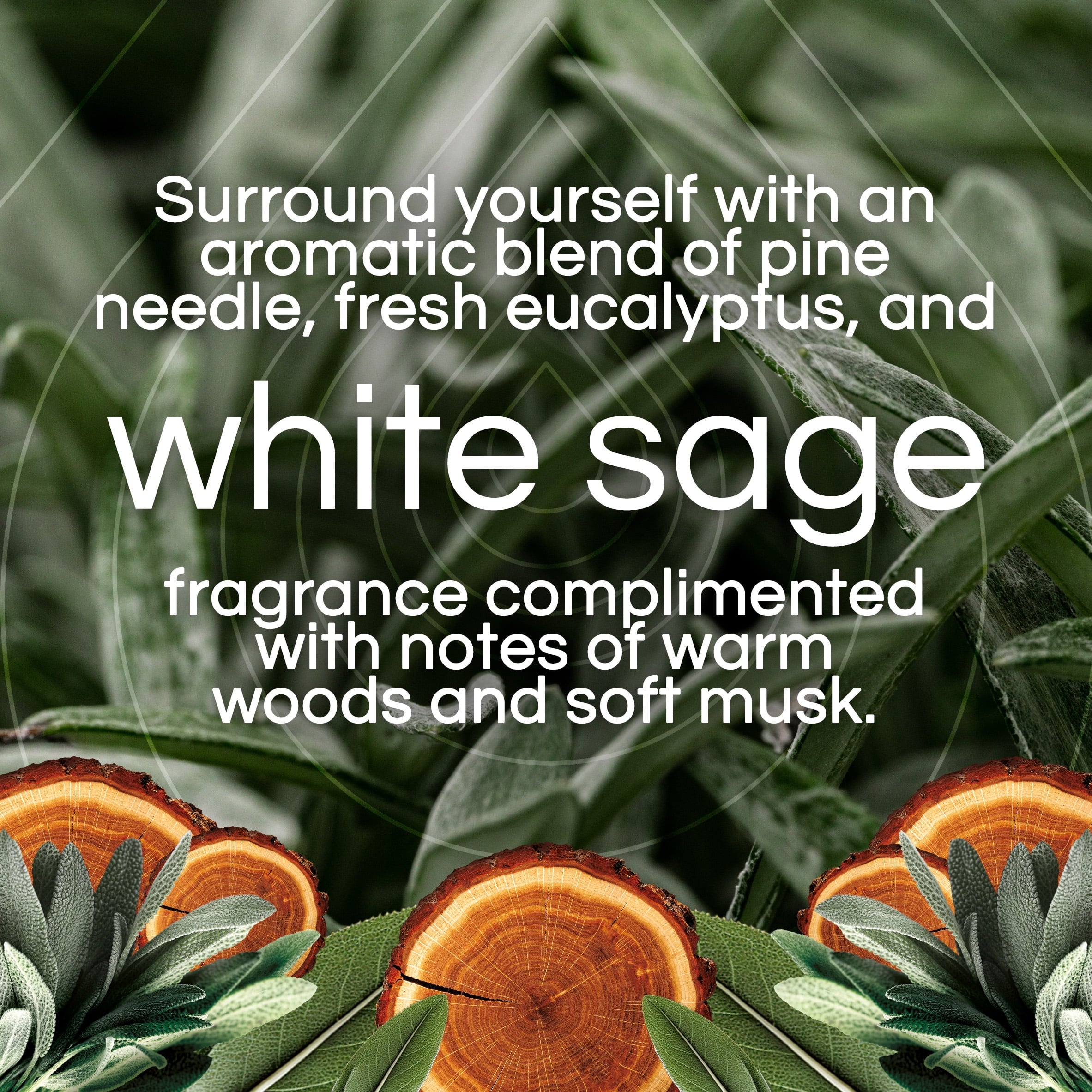 Air Wick Vibrant Plug-In Scented Oil Air Freshener Warmer Refills, White Sage - View 3