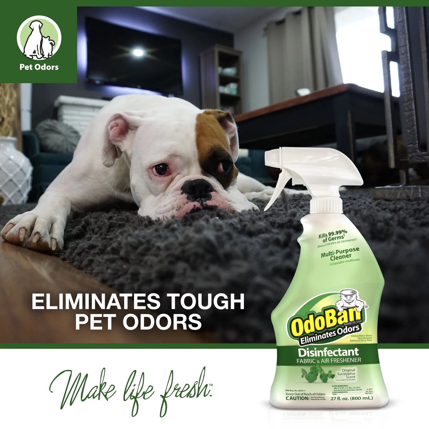 OdoBan Original Eucalyptus Scent Disinfectant Fabric & Air Freshener, 27 fl oz - View 6