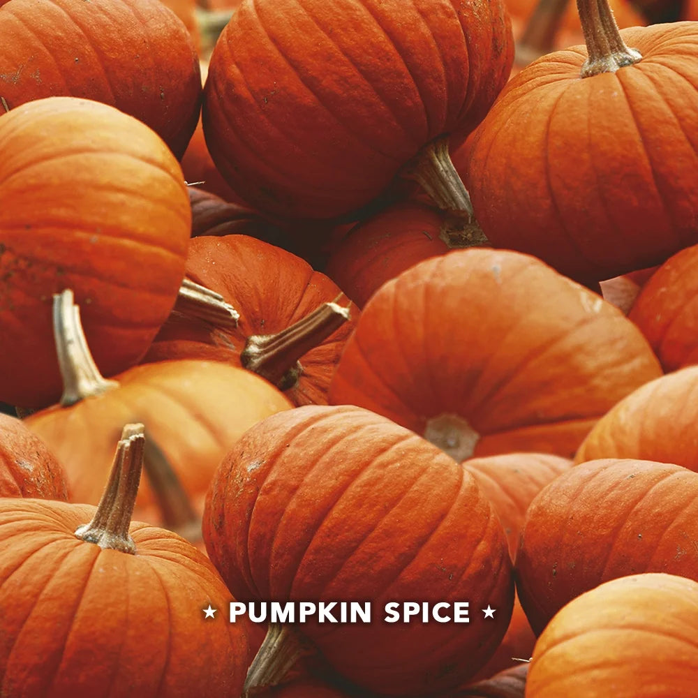 Air Wick, Plug in Essential Oils Kit, (Diffuser + Warmer + 2 Refills), Pumpkin - View 2