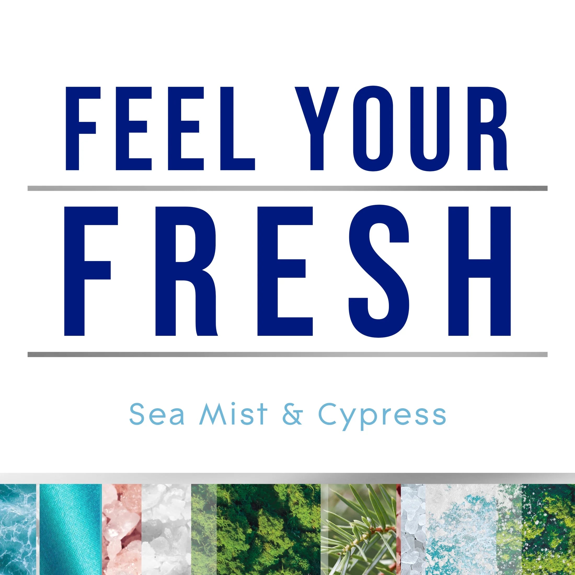 Glade PlugIns Scented Oils Air Freshener Refills, Sea Mist & Cypress, Fresh - View 3