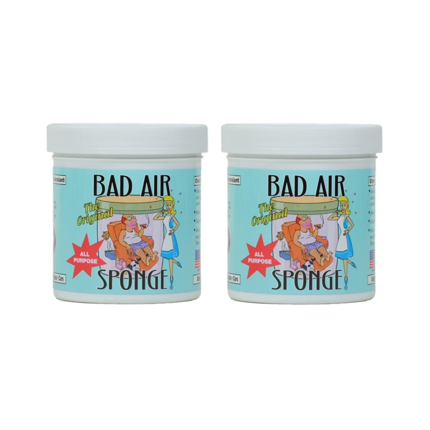 Bad Air Sponge Odor Neutralizer and Eliminator with Deghost Formula, 14 oz, 12