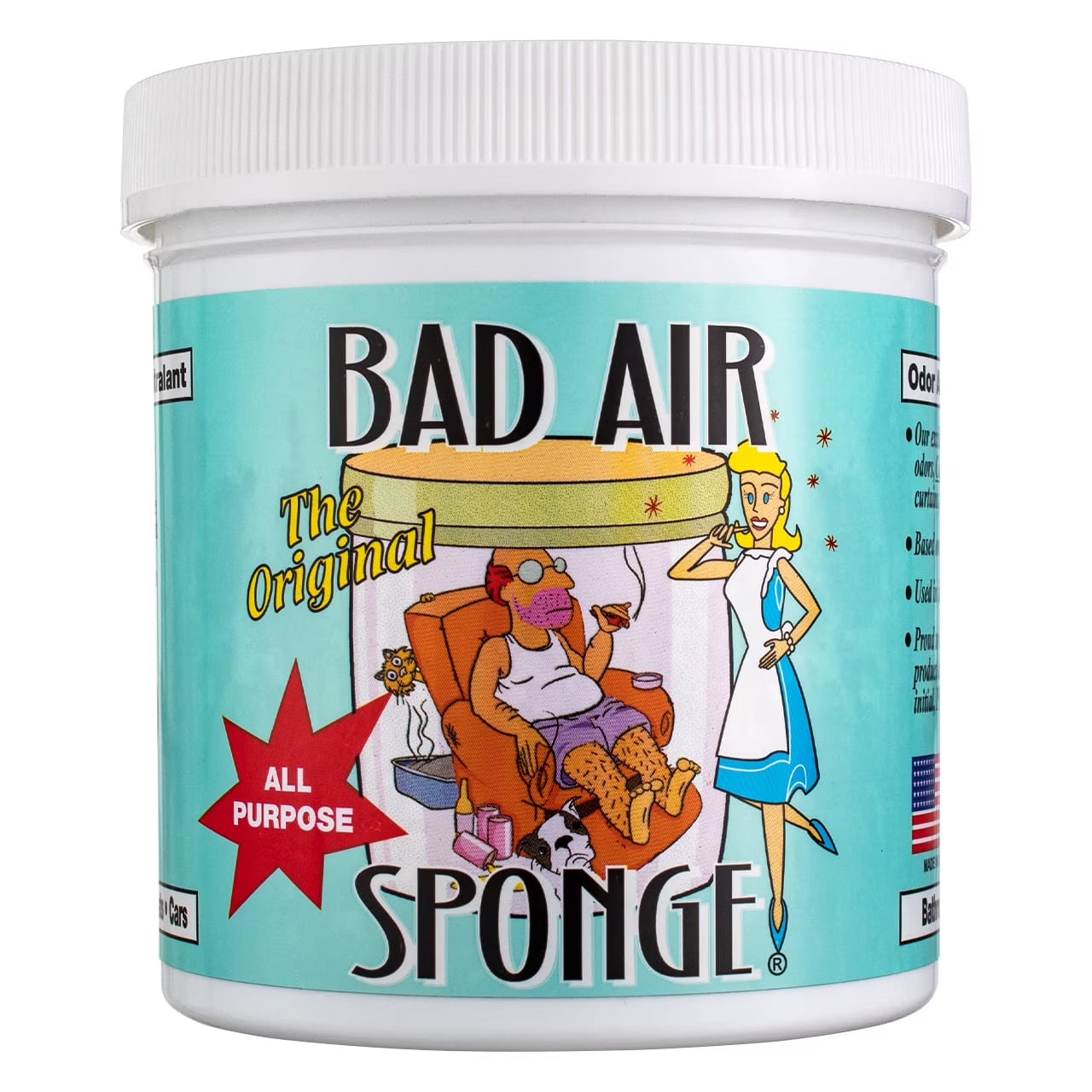 Bad Air Sponge Odor Neutralizer and Eliminator with Deghost Formula, 14 oz, 12 - View 4