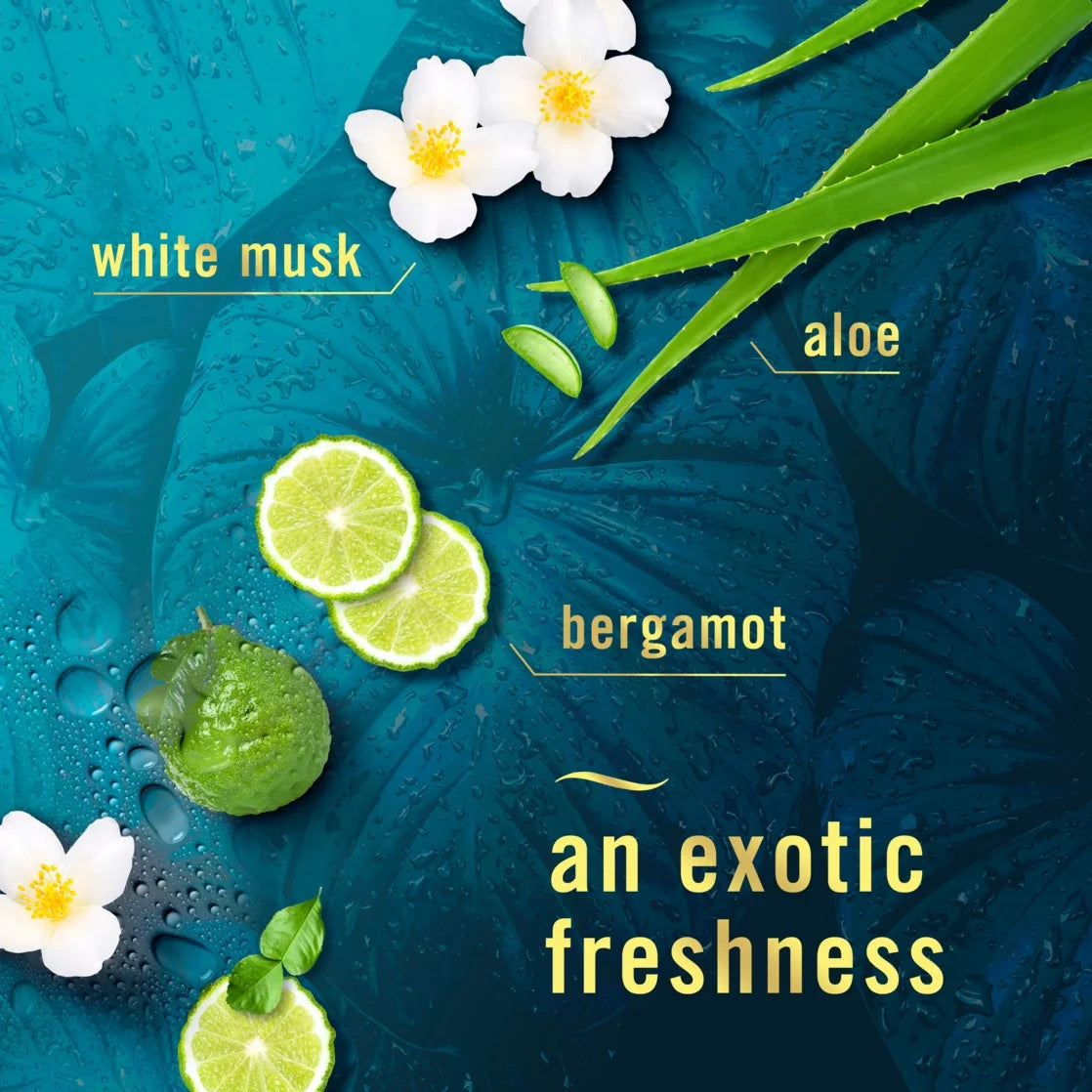 Febreze Air Mist Luxe Air Freshener Spray, Rainforest Scent, 8.1oz - View 3