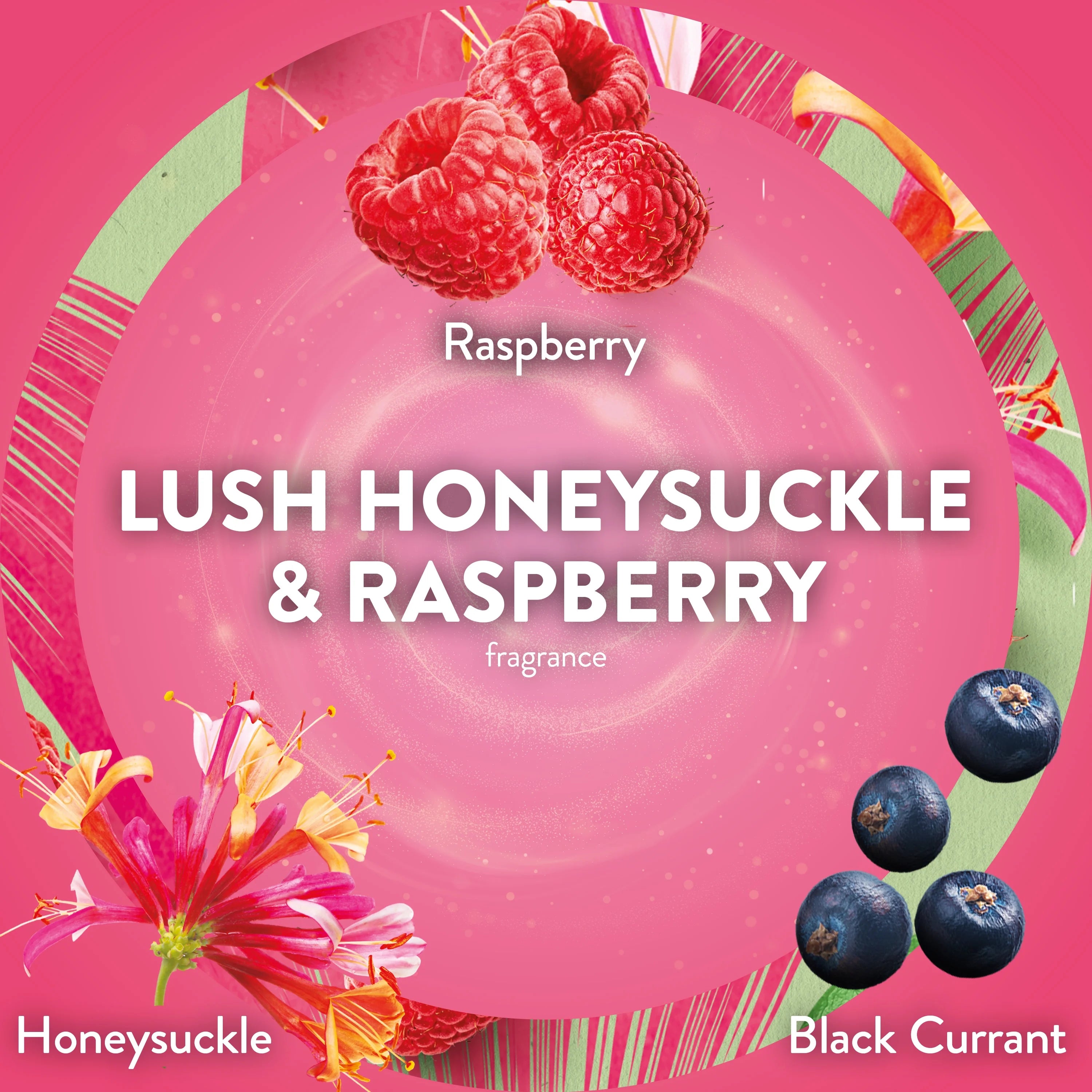 Air Wick Plug-In Air Freshener Scented Oil Refills,Honeysuckle and Raspberry, 2 - View 5