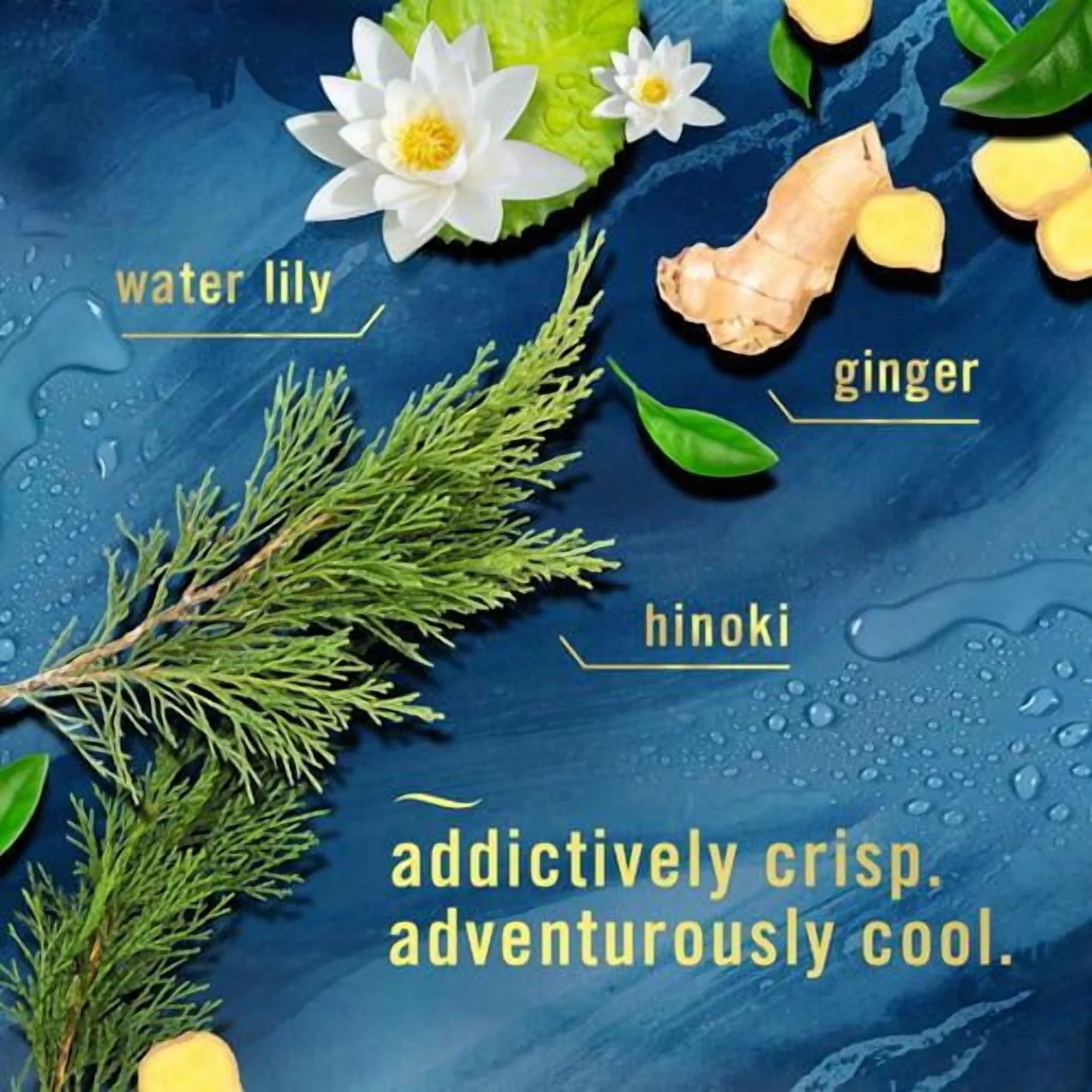 Febreze Plug In Air Freshener, Odor-Fighting Scented Oil Refill, Air Fresheners - View 3