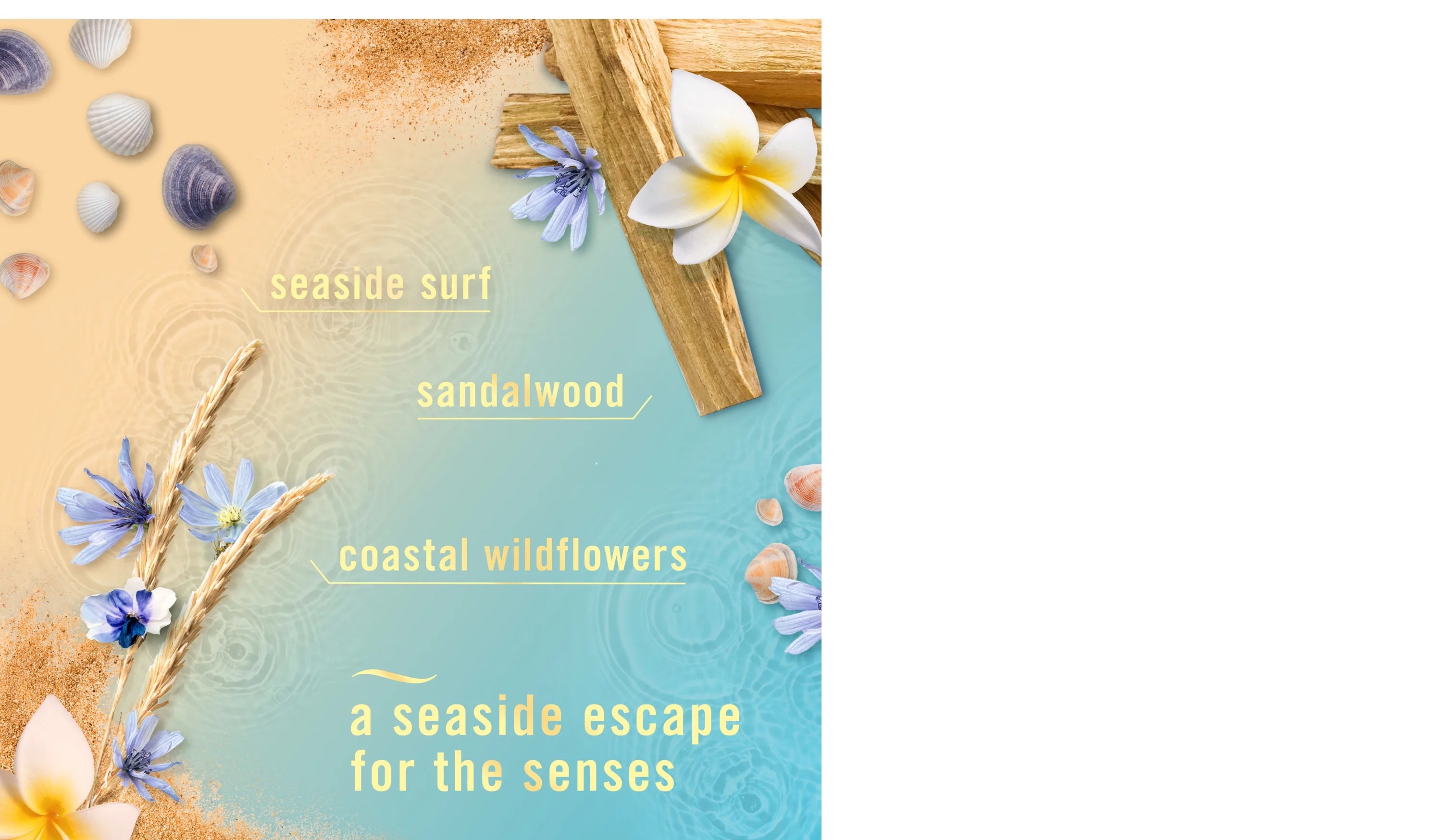 Febreze Air Freshener Spray, Odor-Fighting Room Spray, Warm Ocean Breeze Scent, - View 3